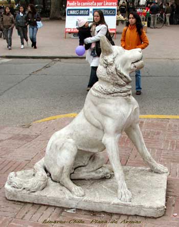 Perro Moloso en Linares - Chile  Plaza de Armas esquina SE